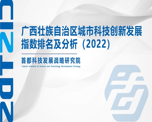 屌逼色【成果发布】广西壮族自治区城市科技创新发展指数排名及分析（2022）